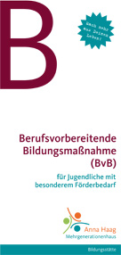 bvb_2012-1